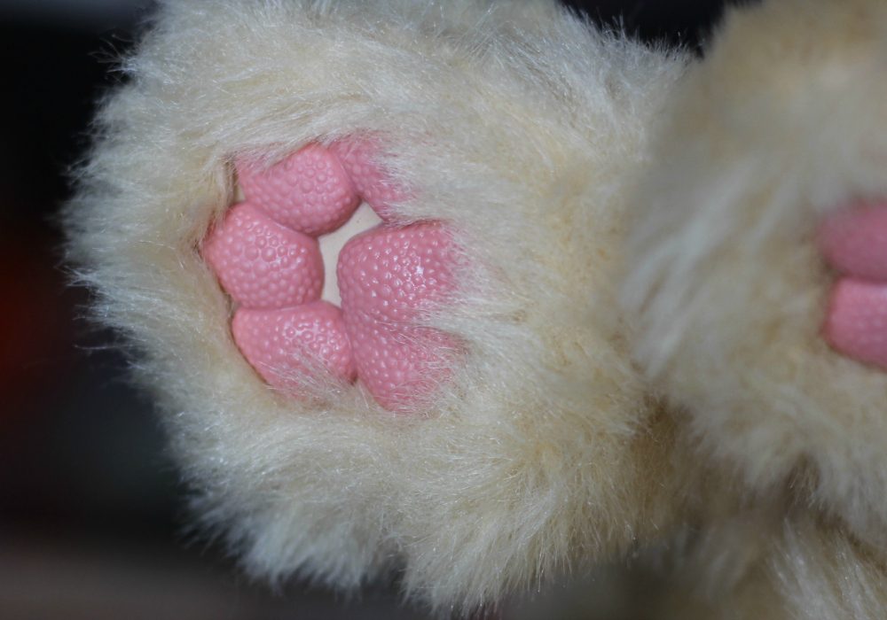 Paws of a stuffed animal toy. 