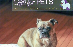 Personalized Dog Gifts that Humans will Love