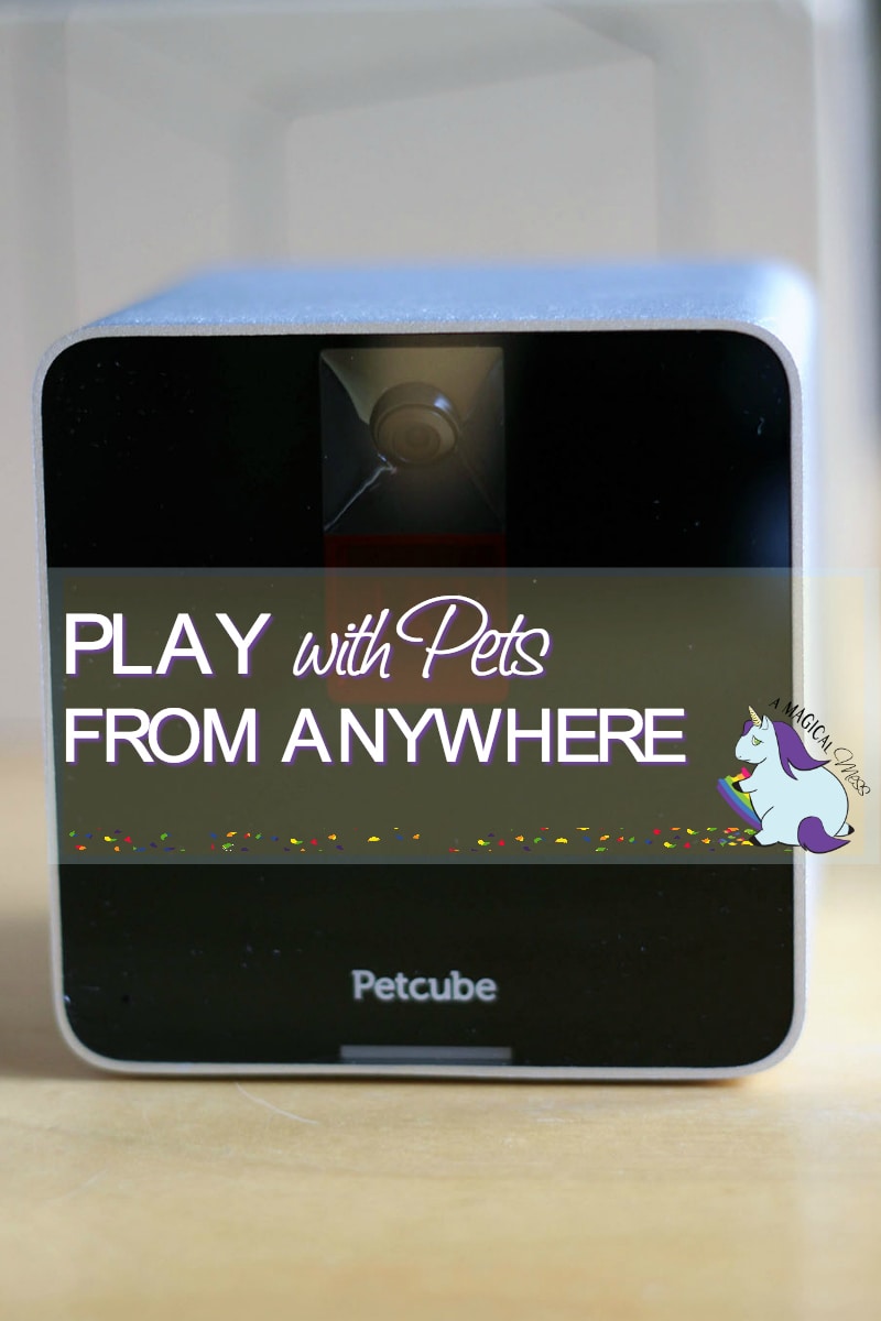 5 Reasons you Need an Interactive Pet Camera