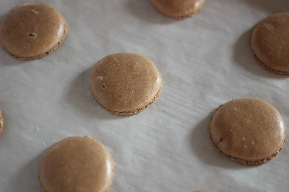 Chocolate macaron shells.