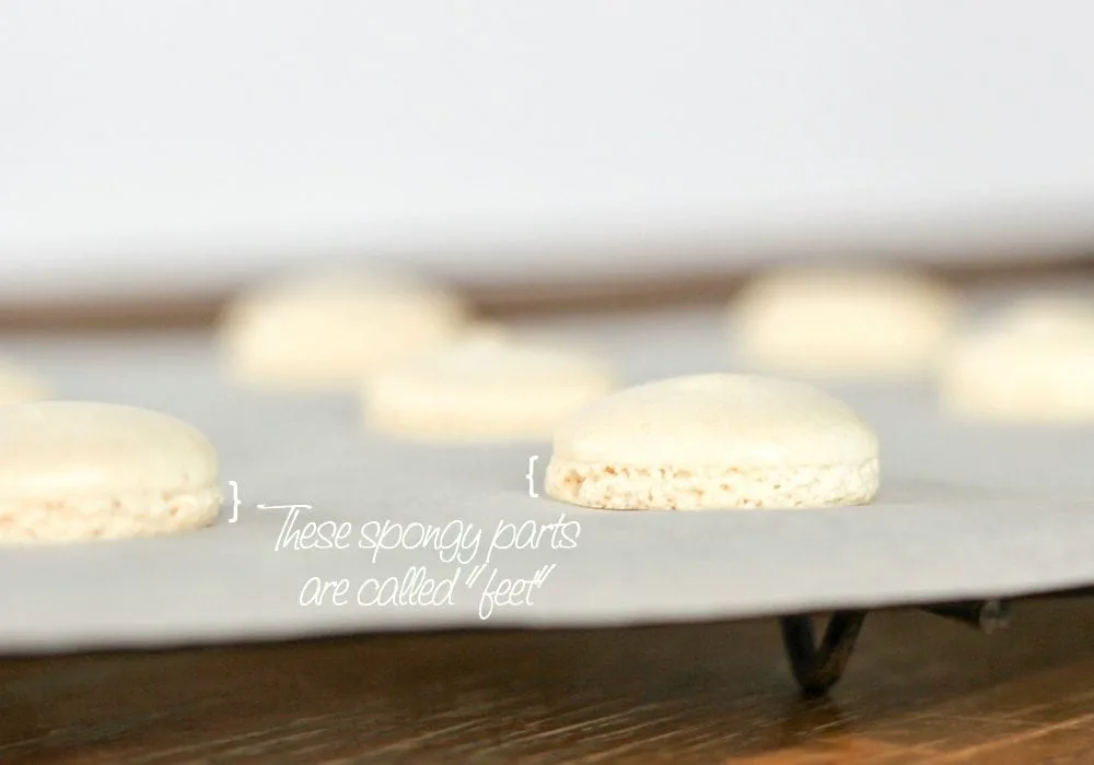 French macaron feet