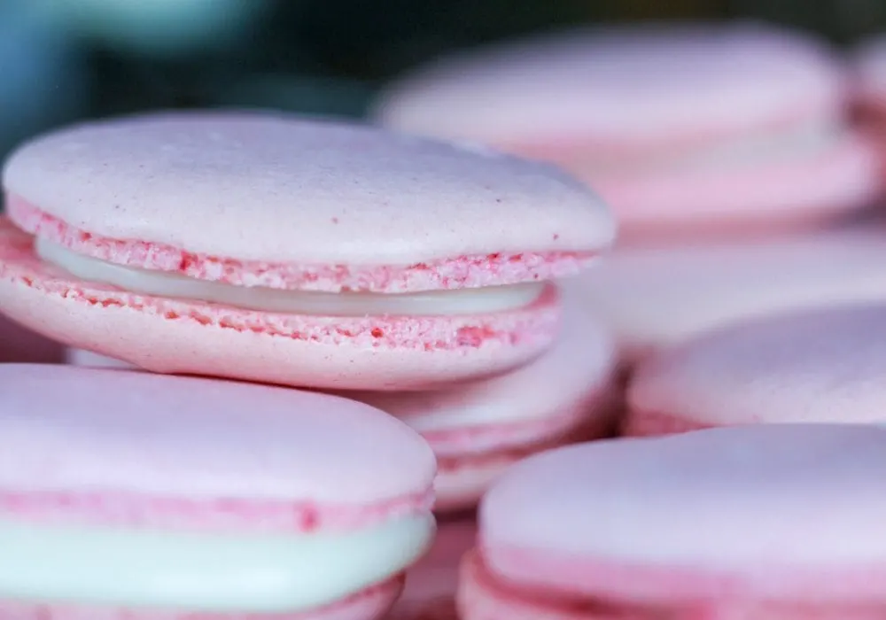 Pink Coconut French Macaron