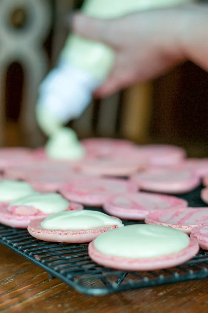 Pink French Macaron