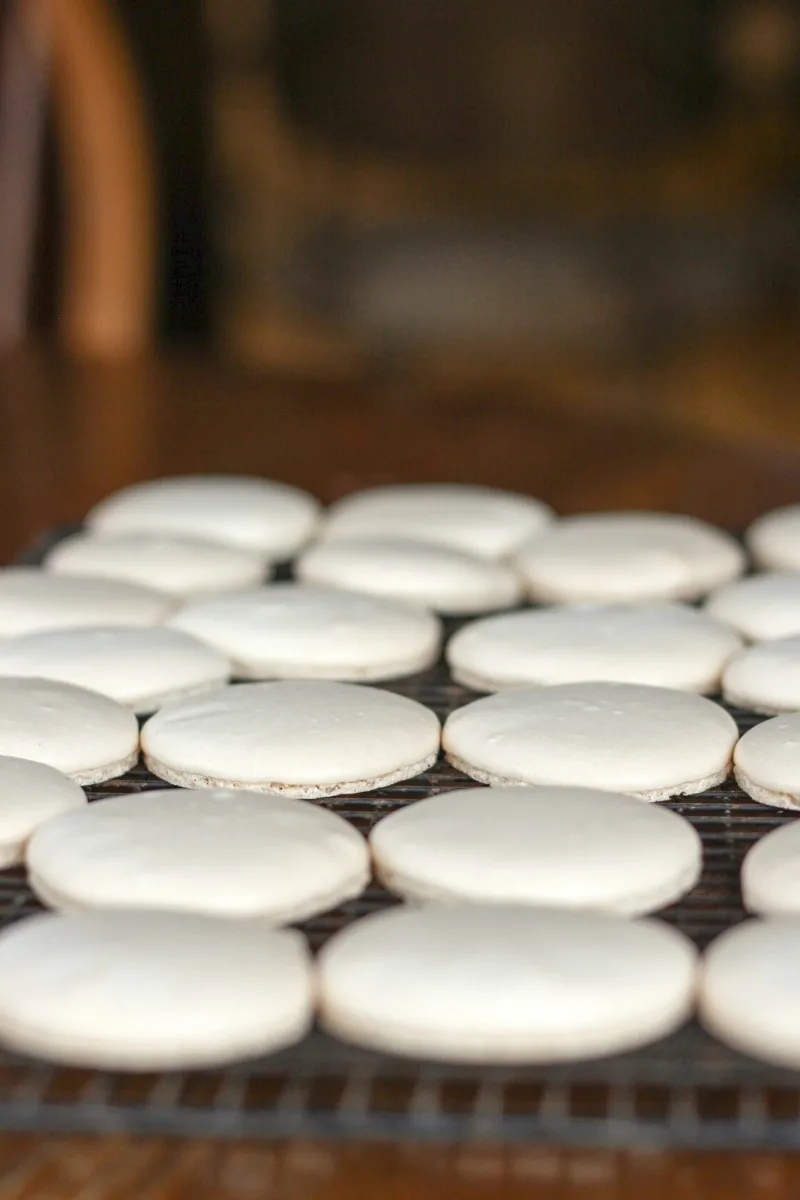 White Coconut French Macaron