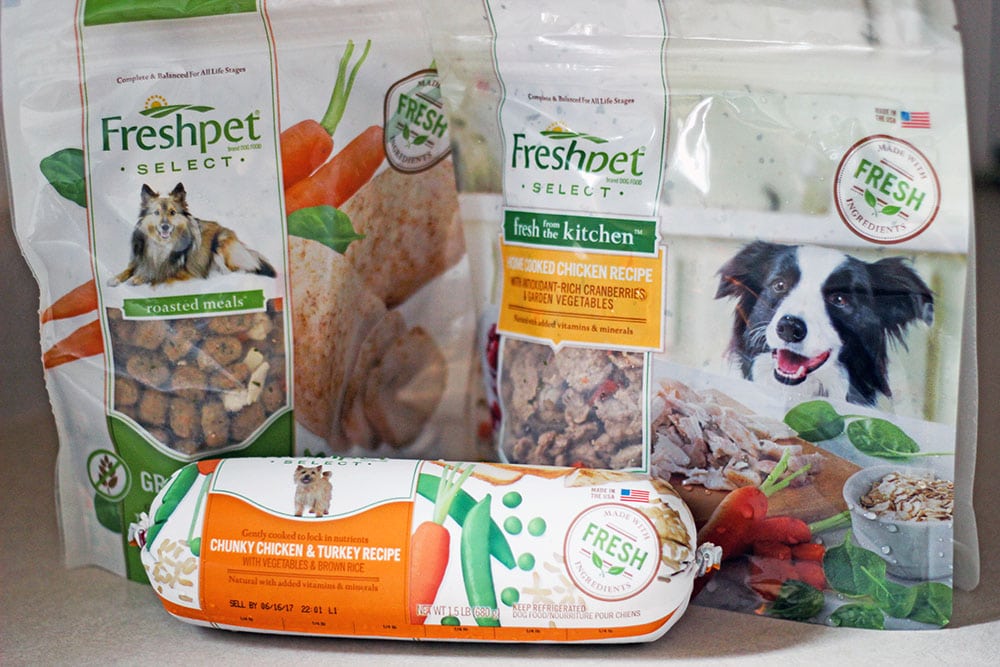 Fresh Dog Food Creates a Feasting Frenzy | A Magical Mess