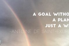 A goal without a plan is just a wish.