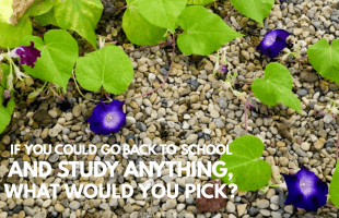 The Best Online Learning Courses You'll Want to Binge Watch