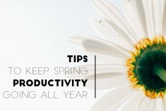 Don't Fall Back, Spring Ahead - Tips for Staying on a Productive Track