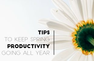 Don't Fall Back, Spring Ahead - Tips for Staying on a Productive Track