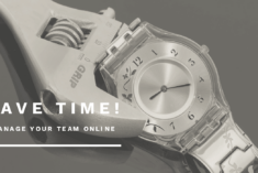 Reclaim your Sanity and Manage your Team Online - FREE 3 MONTH TRIAL