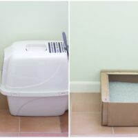 Tidy Cats Direct Monthly Litter Box Service