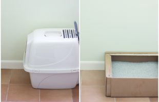 Tidy Cats Direct Monthly Litter Box Service