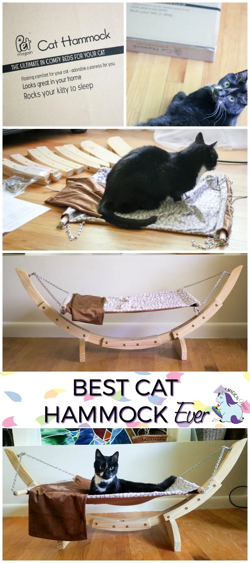 Best Hammock for Cats and How to Get Your Cat to Love It