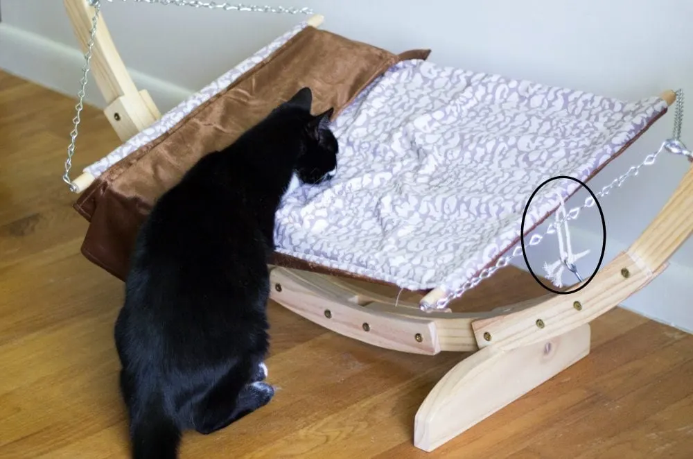 Best Hammock for Cats and How to Get Your Cat to Love It