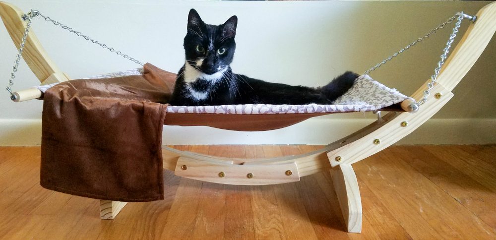 Best Hammock for Cats and How to Get Your Cat to Love It