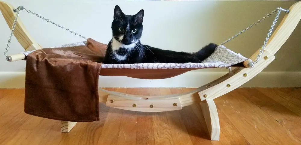 Best Hammock for Cats and How to Get Your Cat to Love It