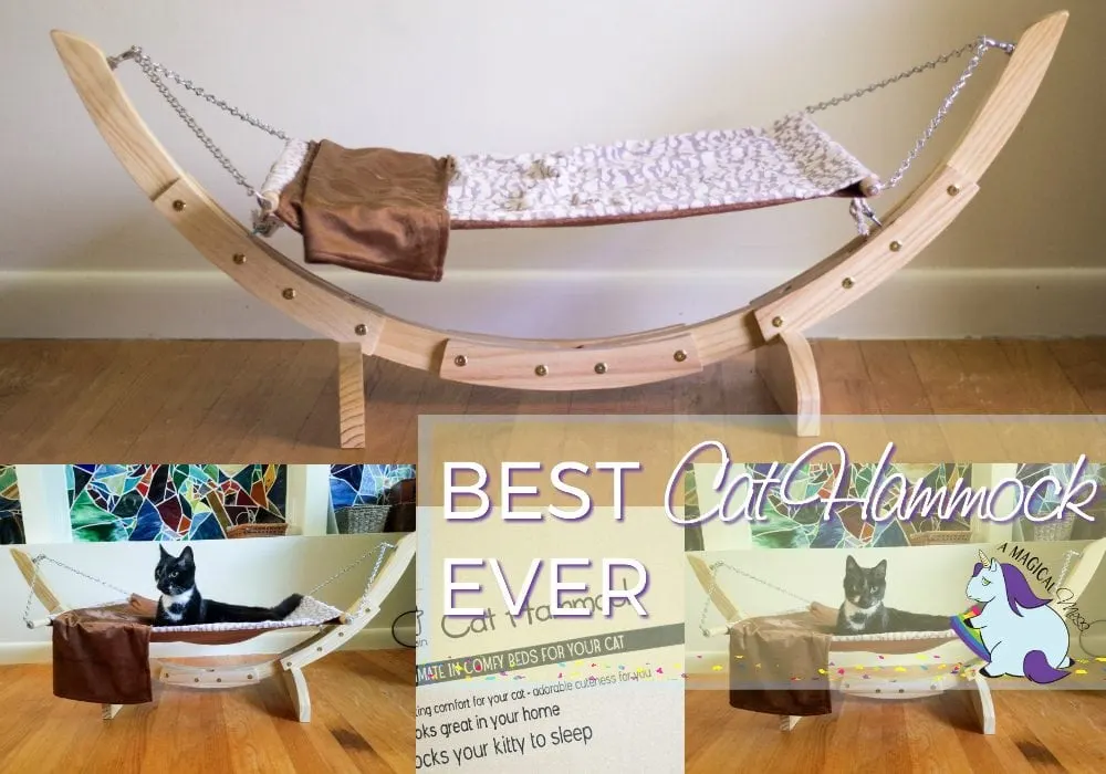 Best Hammock for Cats and How to Get Your Cat to Love It