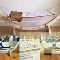 Best Hammock for Cats and How to Get Your Cat to Love It