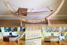 Best Hammock for Cats and How to Get Your Cat to Love It