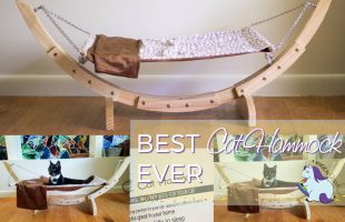 Best Hammock for Cats and How to Get Your Cat to Love It