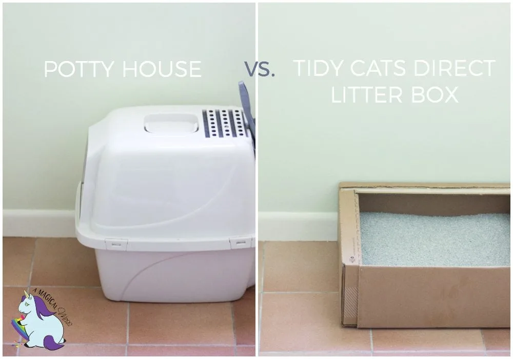 Litterbox vs Tidy Cats direct litter box. 