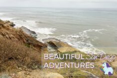 San Diego Adventures – Four Strangers and a Kia