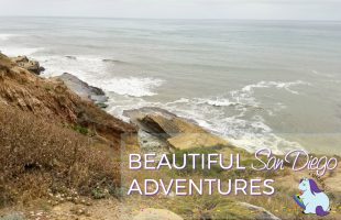 San Diego Adventures - Four Strangers and a Kia
