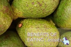 Benefits of Eating Avocado and Best Ways to Eat Avocados #LoveOneToday #IC AD