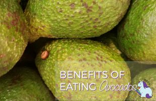 Benefits of Eating Avocado and Best Ways to Eat Avocados #LoveOneToday #IC AD