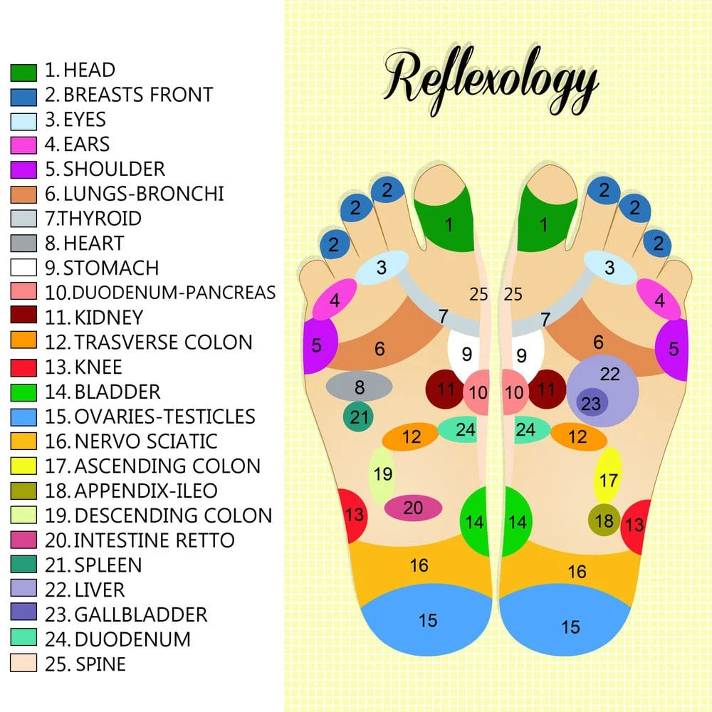 Foot reflexology chart.