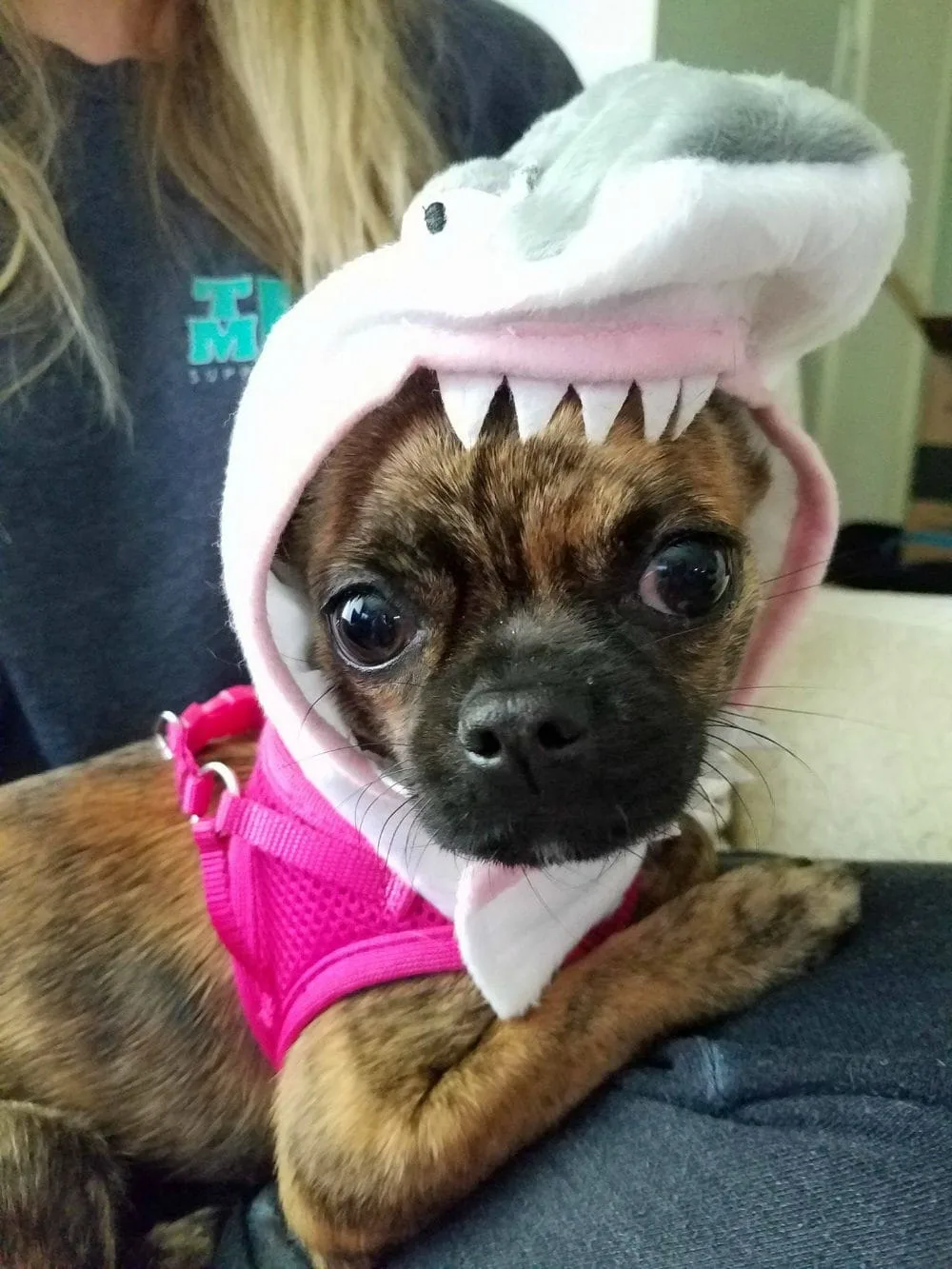 Bea with a Shark hat on