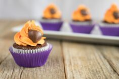 The Nut Job 2: Nutty By Nature Fall Themed Cupcakes Recipe