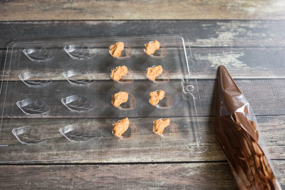 Chocolate cupcakes with acorn candy for fall