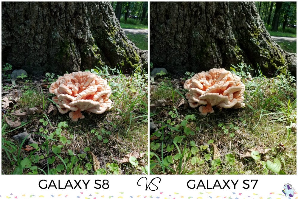 Impressive Samsung Galaxy S8 Camera Comparison #SamsungUnlocked #CollectiveBias