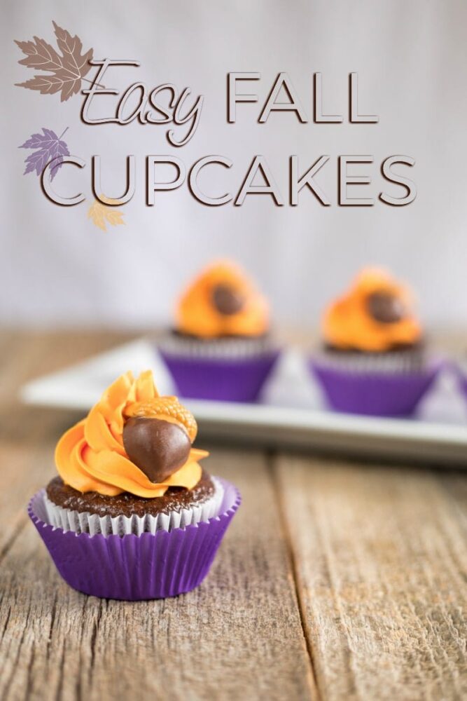 Nutty By Nature Fall Themed Cupcakes Recipe A Magical Mess