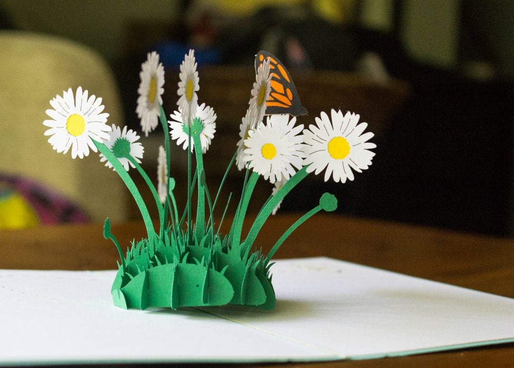 Pop Up Card with daisy flowers