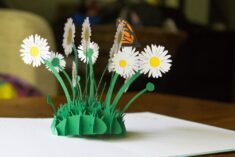 Pop Up Cards Make the Best Gifts for Grandparents