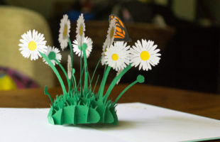 Pop Up Cards Make the Best Gifts for Grandparents