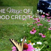 From Excellent to Good - How One of the Best Credit Repair Companies Helps Get You Back on Track