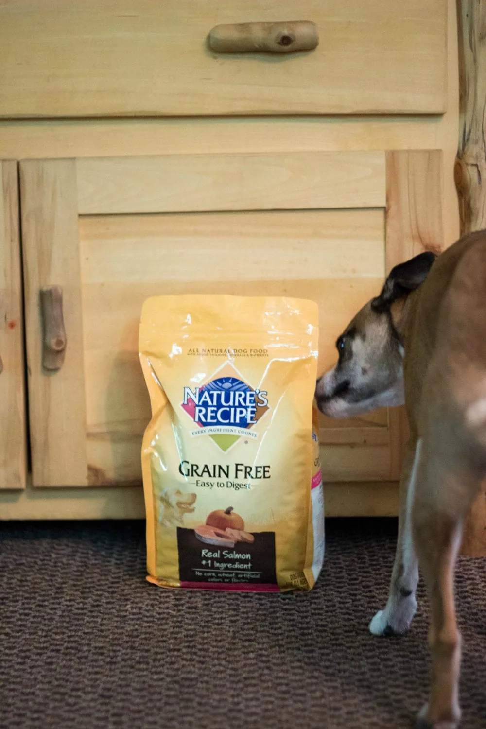 Easy to Find Wholesome Dog Foods for Multiple Dogs