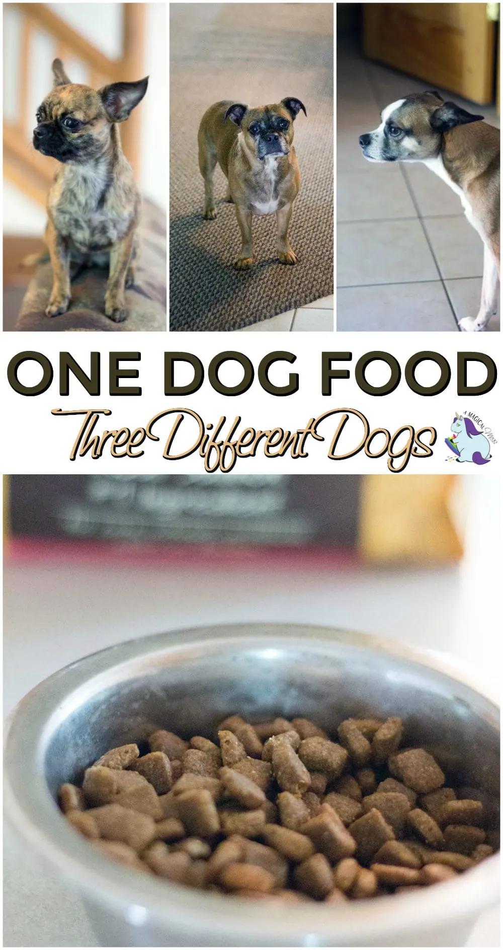 Easy to Find Wholesome Dog Foods for Multiple Dogs A Magical Mess