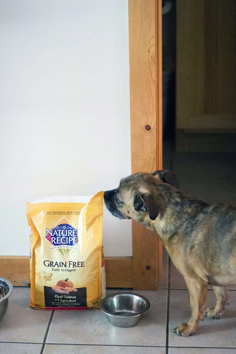 Easy to Find Healthy Dog Foods for Multiple Dogs