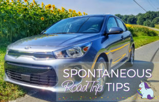 2 Bloggers Bond Behind the Wheel on Spontaneous Road Trip