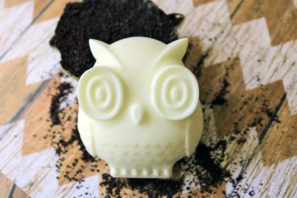 Coffee soap in the shape of an owl. 