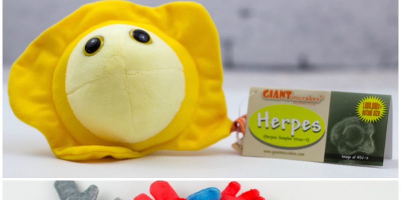 Giant Microbes germ stuffed animals.