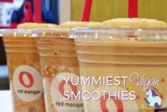 Yummiest Gluten Free and Vegan Red Mango Smoothies #ad