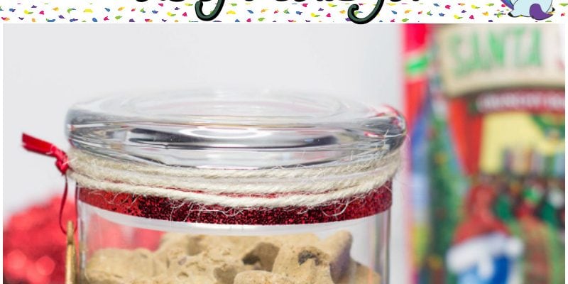 Holiday dog treats jar to make and fill with treats.