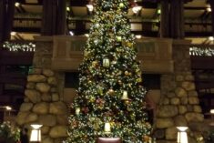 Top 5 Reasons to Visit Disneyland During Christmas #Disneyland