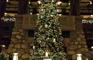 Top 5 Reasons to Visit Disneyland During Christmas #Disneyland