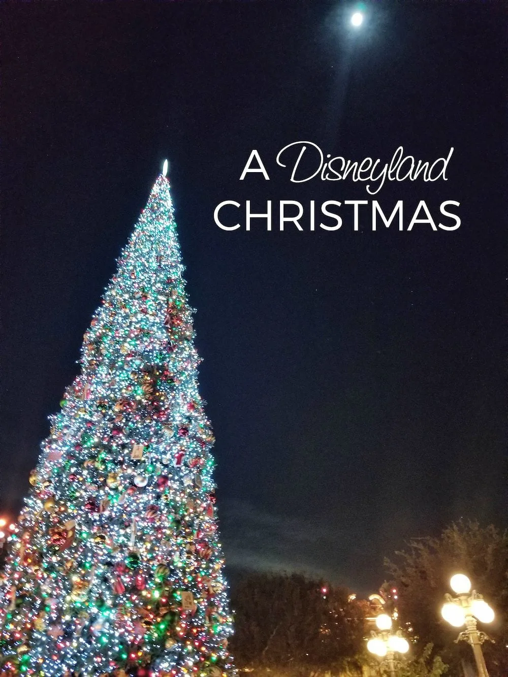 Top 5 Reasons to Visit Disneyland During Christmas #Disneyland